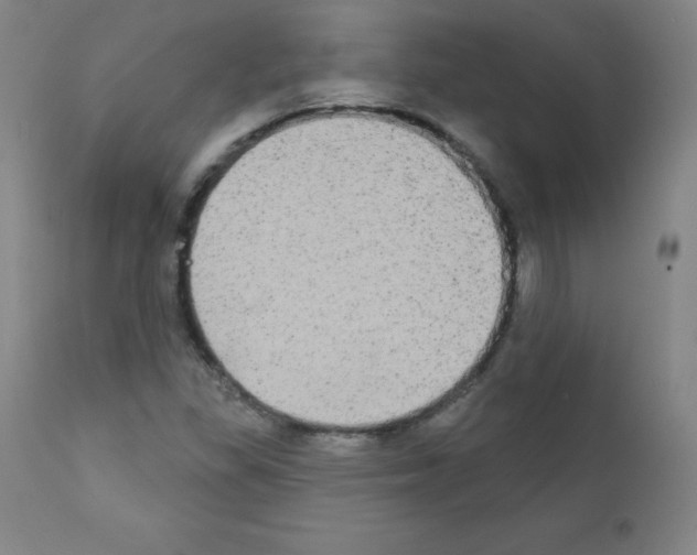 X0000111481309200908250951