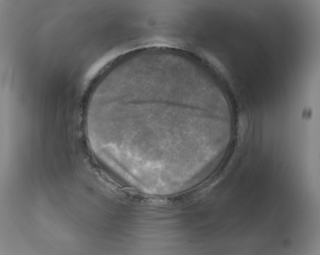 X0000111481310200908250951
