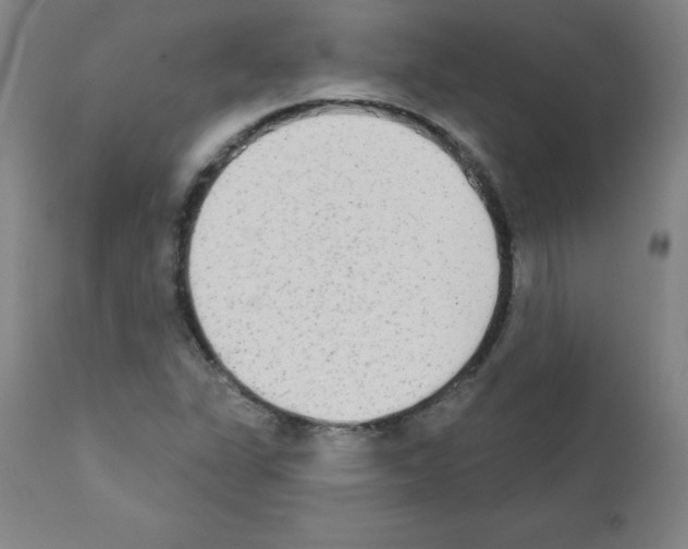 X0000111481311200908250951