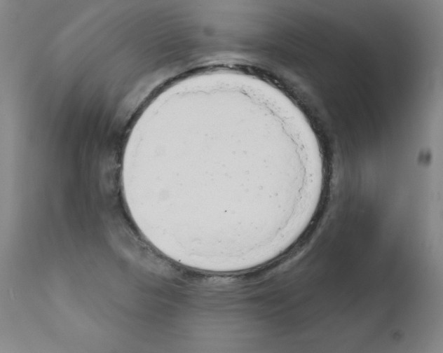 X0000111481313200908250951
