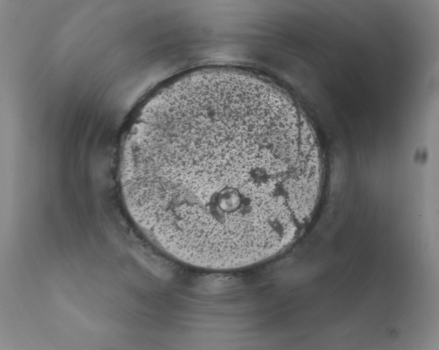 X0000111481314200908250951