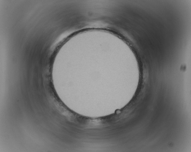 X0000111481315200908250951