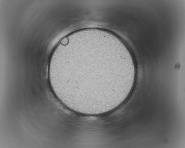 X0000111481317200908250951