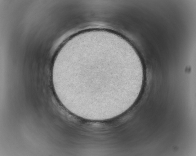 X0000111481318200908250951