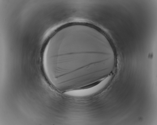 X0000111481319200908250951