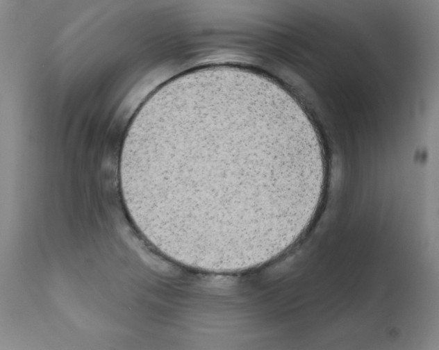 X0000111481321200908250951