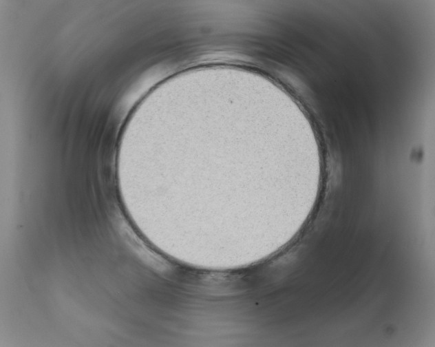 X0000111481322200908250951