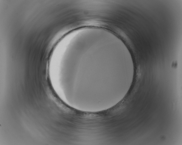 X0000111481323200908250951
