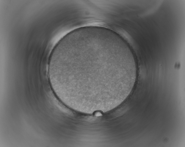 X0000111481324200908250951