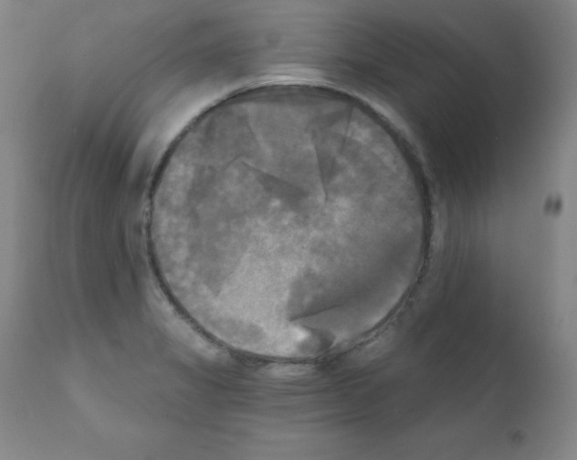 X0000111481325200908250951