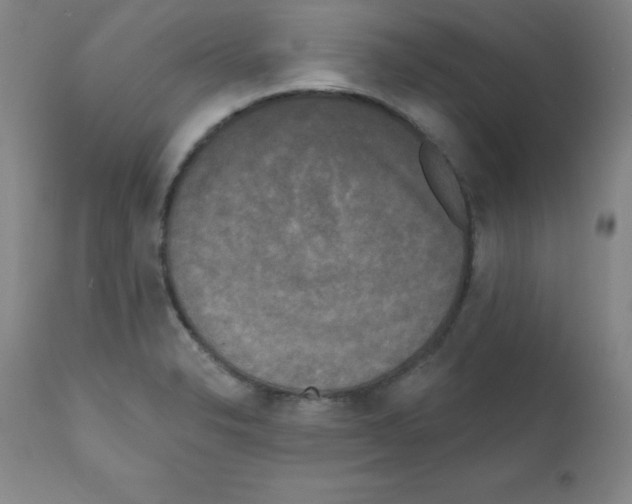 X0000111481326200908250951