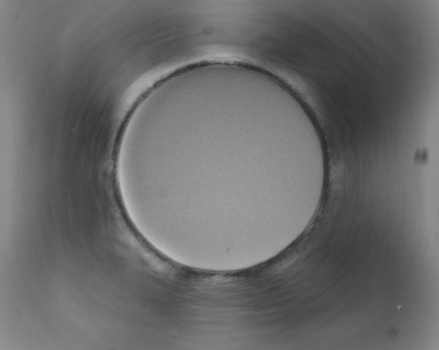 X0000111481327200908250951