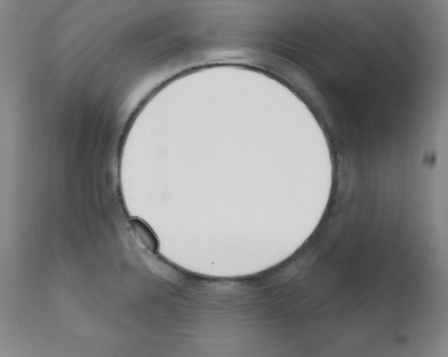 X0000111481328200908250951