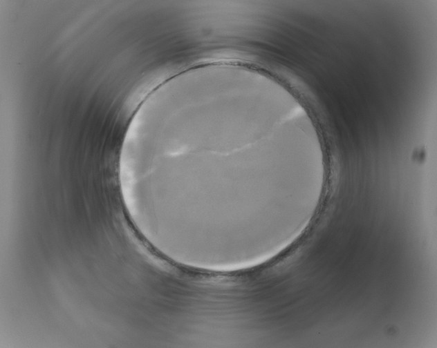 X0000111481329200908250951