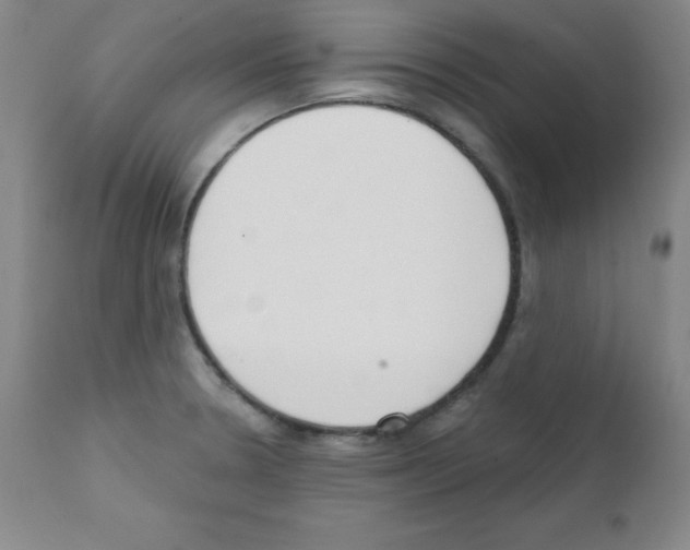 X0000111481330200908250951