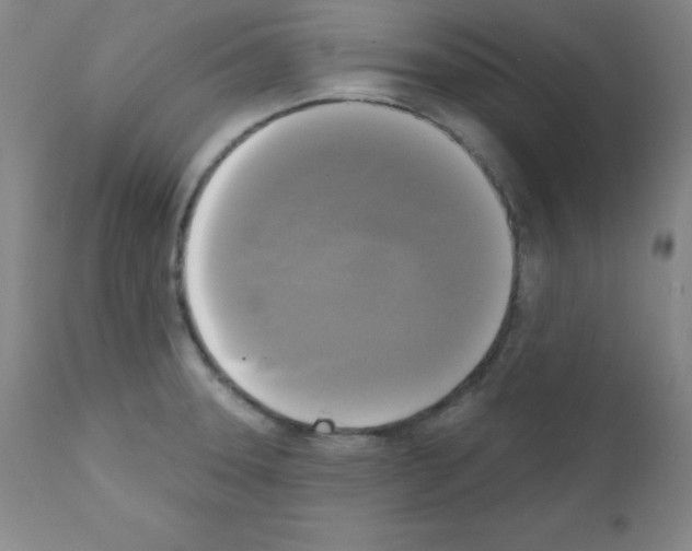 X0000111481331200908250951