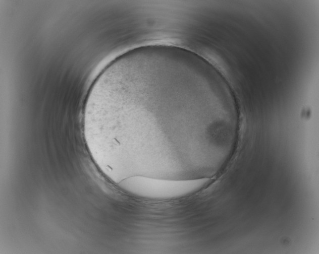 X0000111481332200908250951