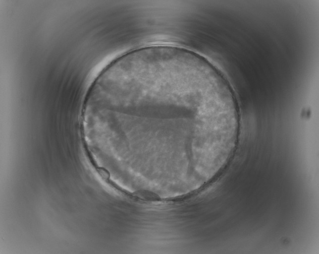 X0000111481333200908250951