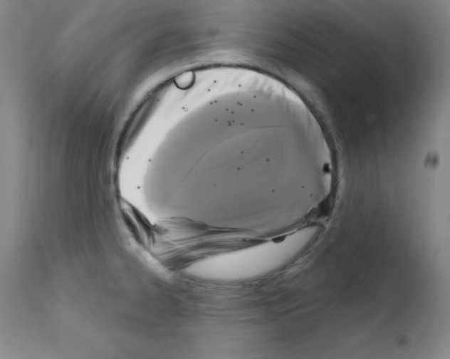 X0000111481334200908250951