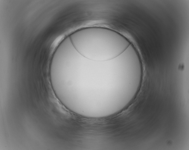 X0000111481336200908250951