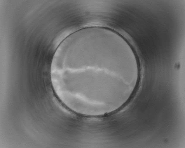 X0000111481337200908250951