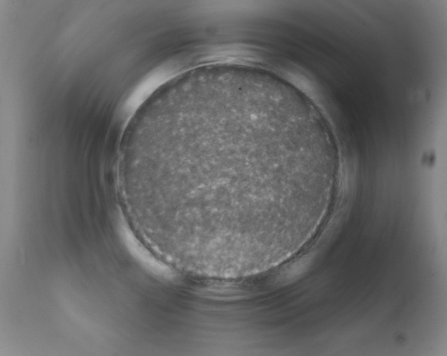 X0000111481338200908250951