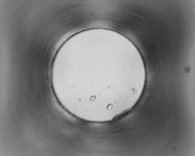 X0000111481339200908250952