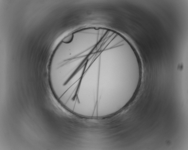 X0000111481341200908250952