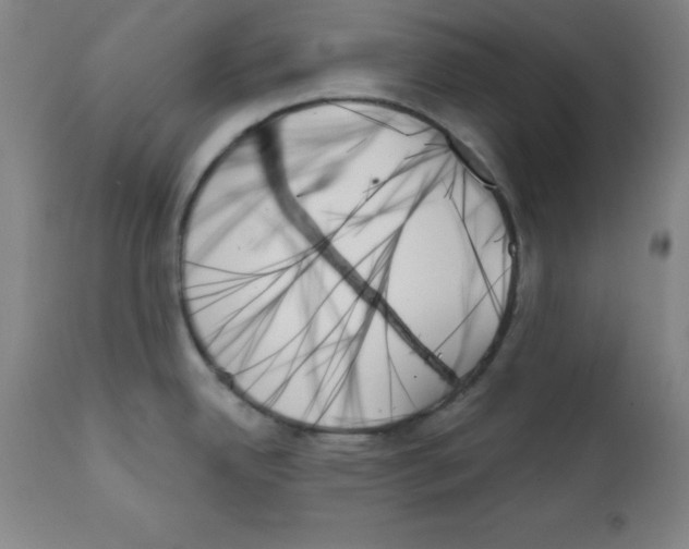 X0000111481342200908250952