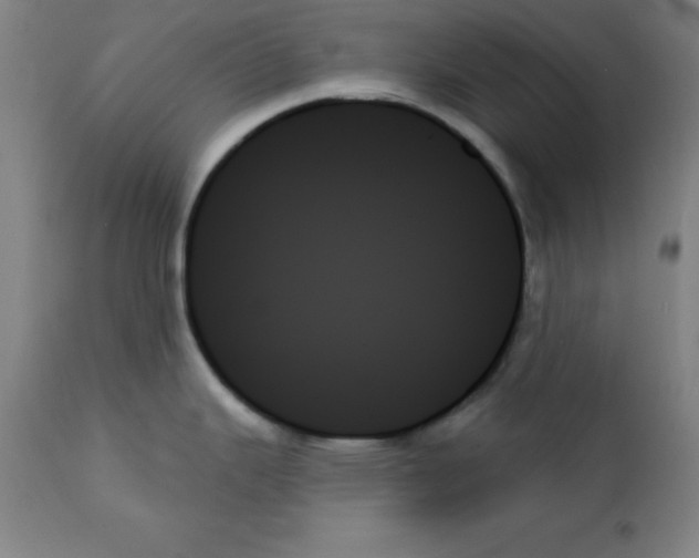X0000111481343200908250952