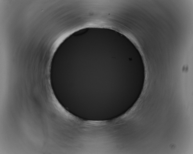 X0000111481344200908250952
