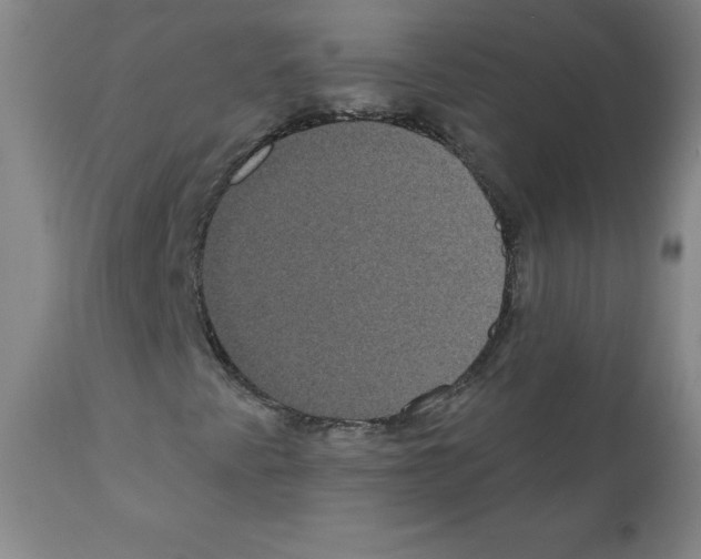 X0000111481345200908250951