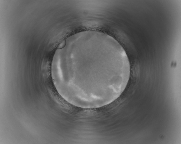 X0000111481346200908250951
