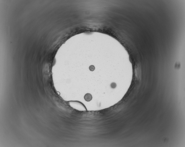 X0000111481347200908250951