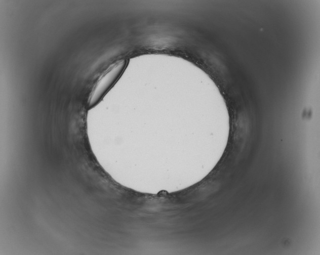 X0000111481349200908250951