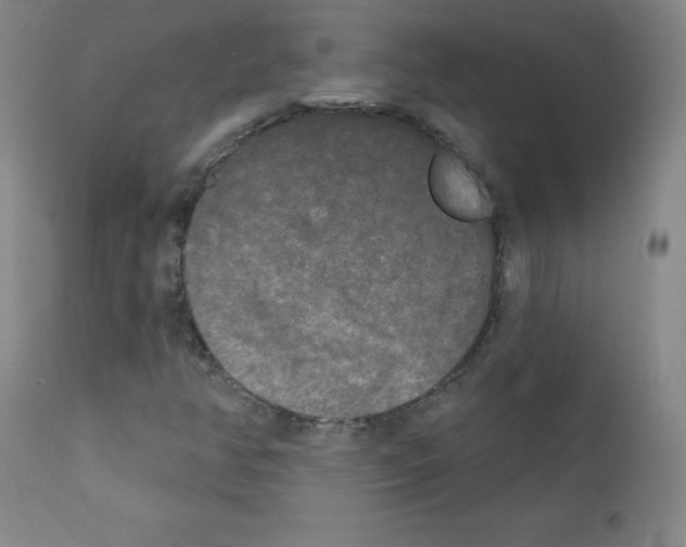 X0000111481350200908250951