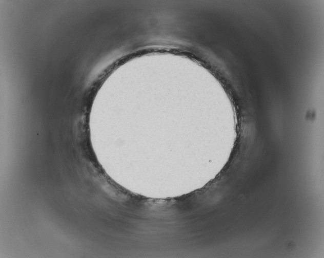 X0000111481352200908250951
