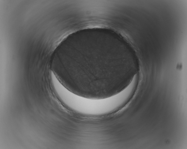 X0000111481353200908250951