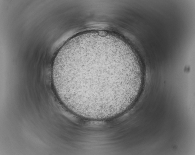 X0000111481354200908250951