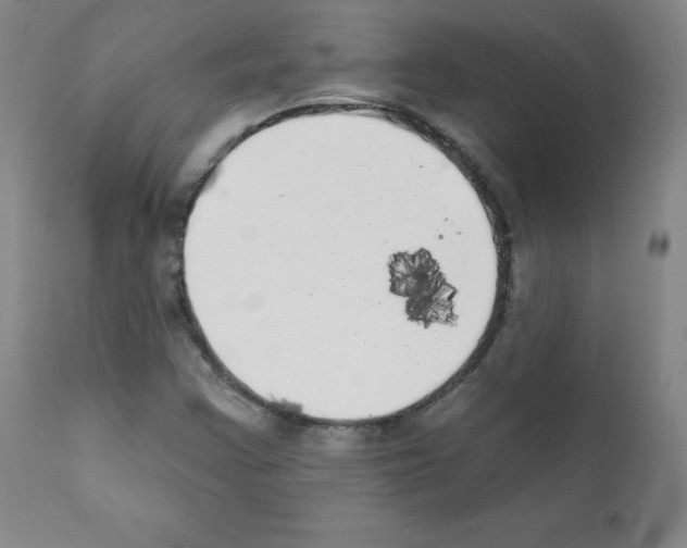 X0000111481355200908250951
