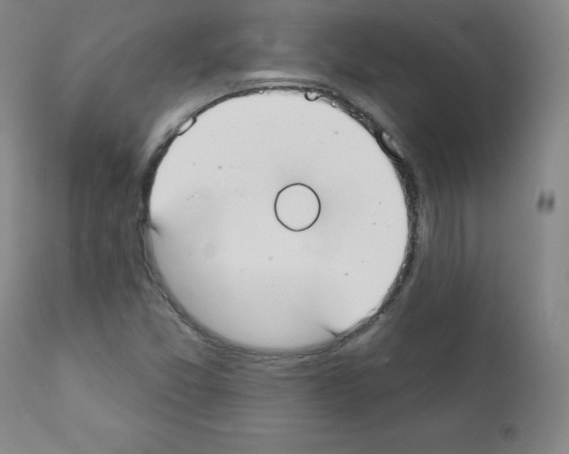 X0000111481357200908250951