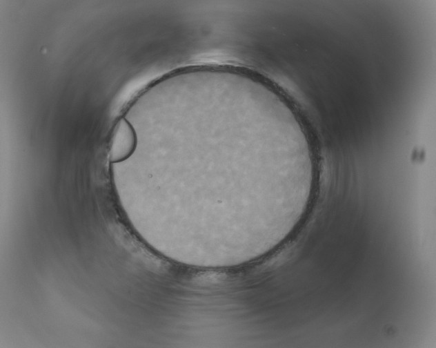 X0000111481358200908250951