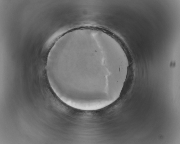 X0000111481359200908250951