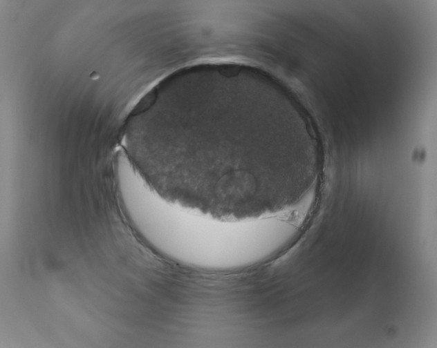 X0000111481361200908250951