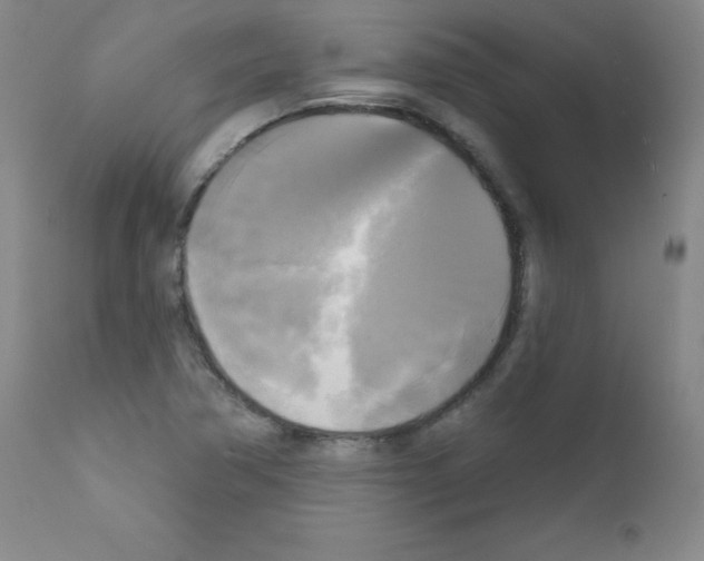 X0000111481362200908250951