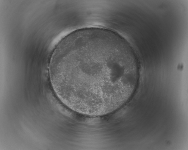X0000111481363200908250951