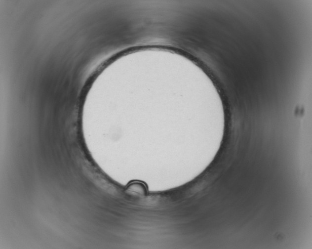 X0000111481364200908250951