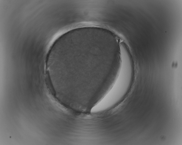 X0000111481365200908250951