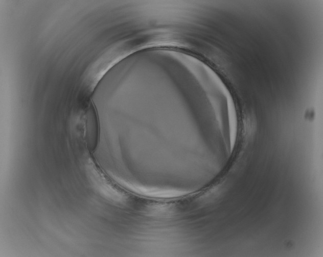 X0000111481369200908250951
