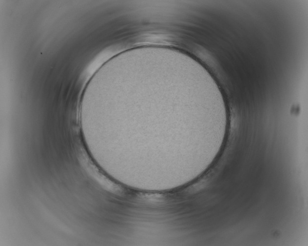 X0000111481370200908250951